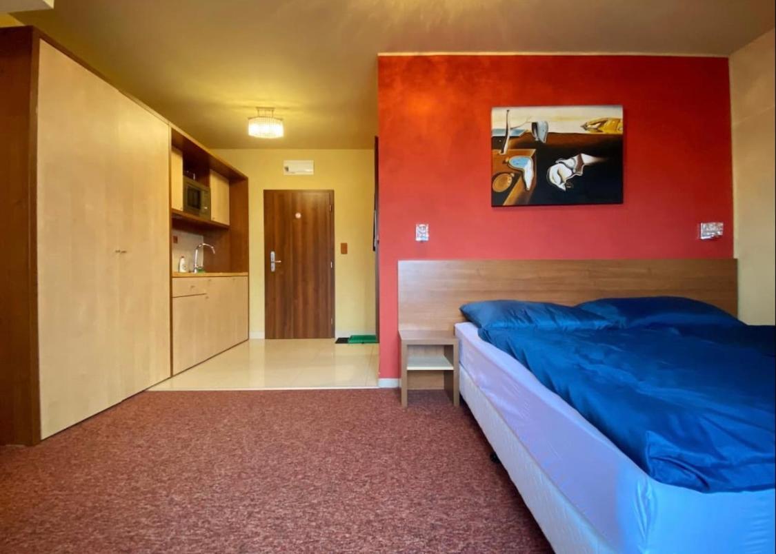 Apartment With Beautiful View Of High Tatras 韦尔卡鲁穆尼卡 外观 照片