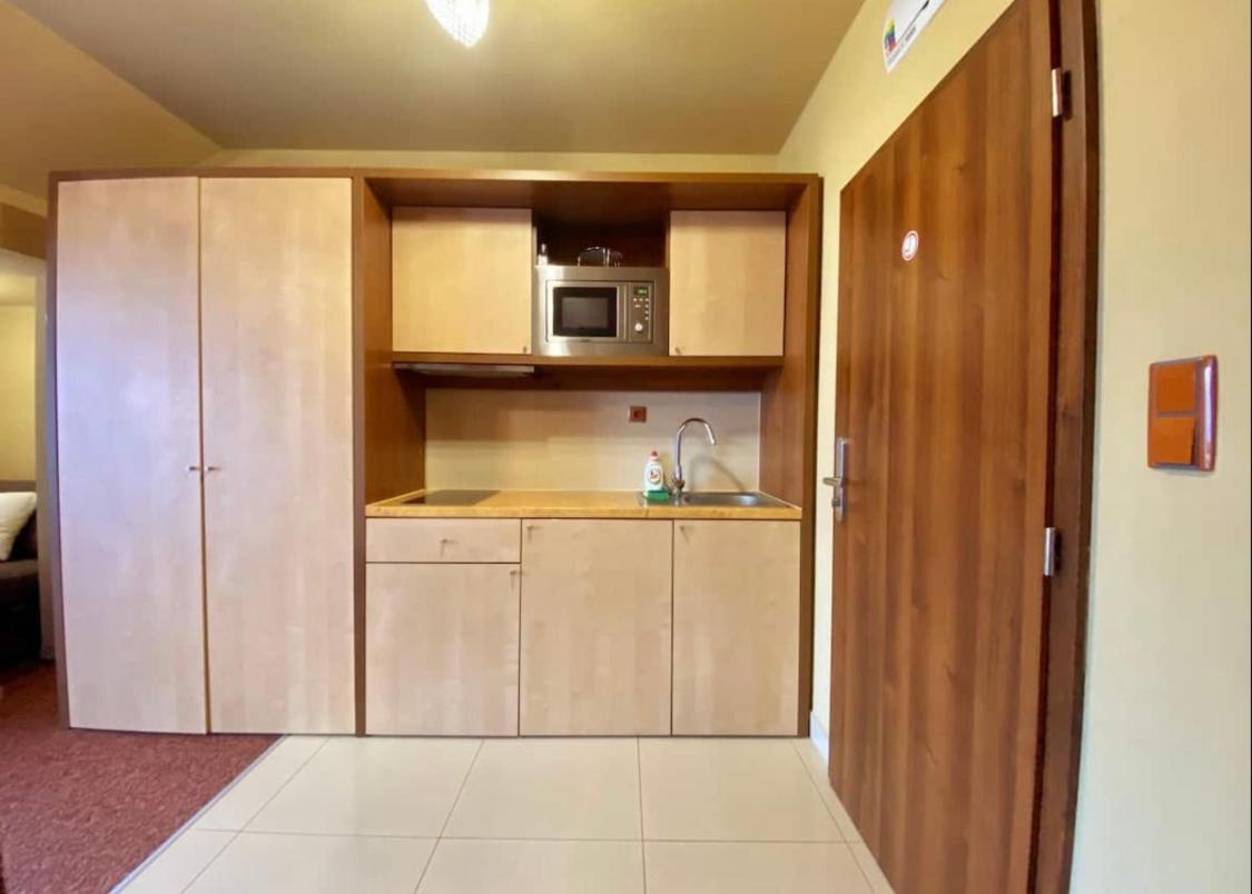 Apartment With Beautiful View Of High Tatras 韦尔卡鲁穆尼卡 外观 照片